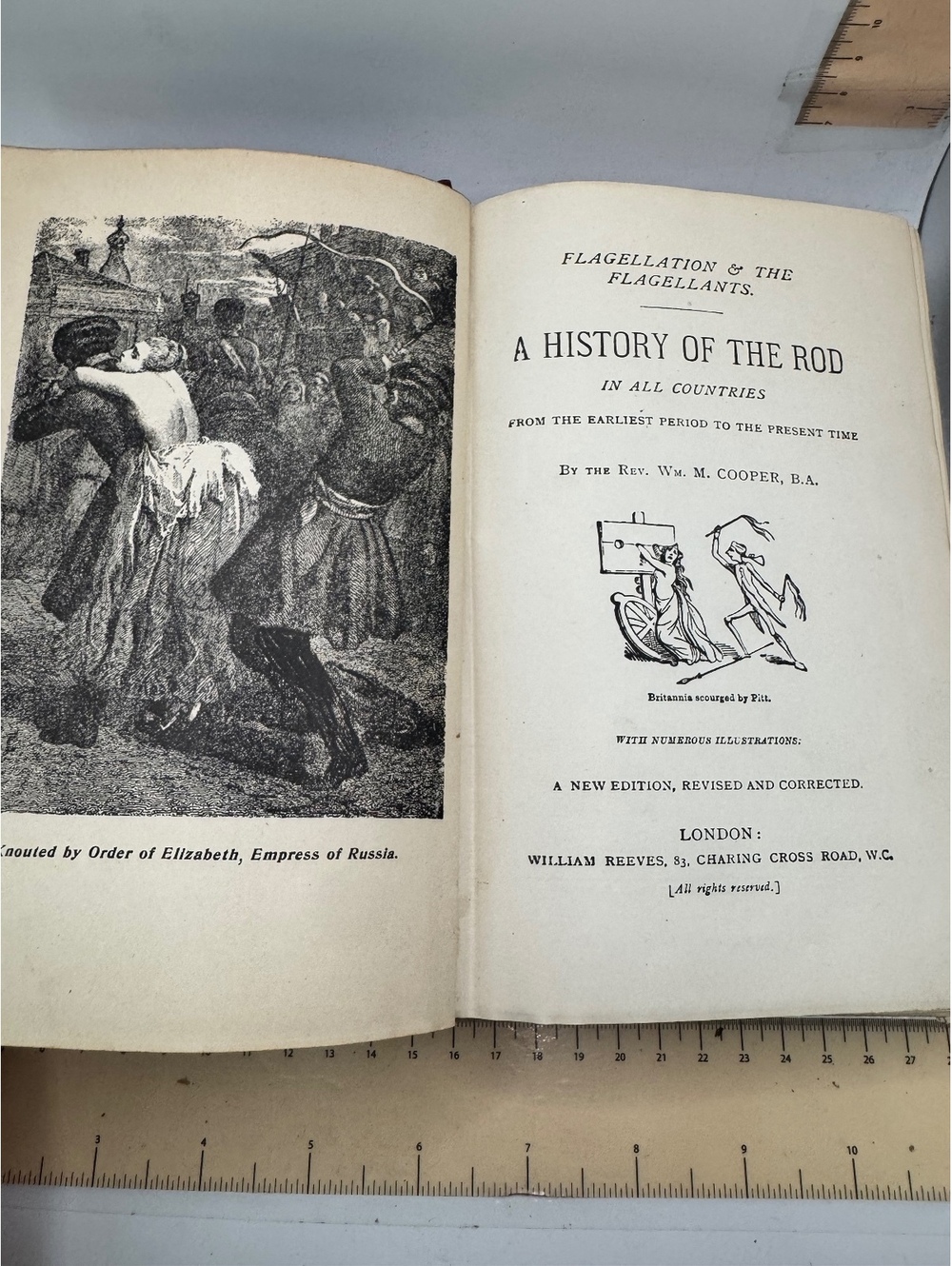 A History of the Rod: Flagellation & The Flagellants by Rev. Wm. M. Cooper, R.N.